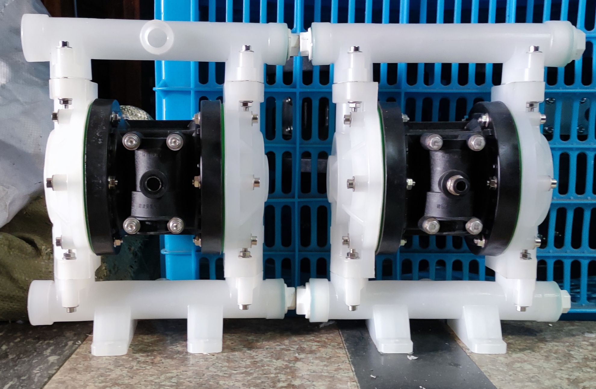 二氧化氯隔膜泵